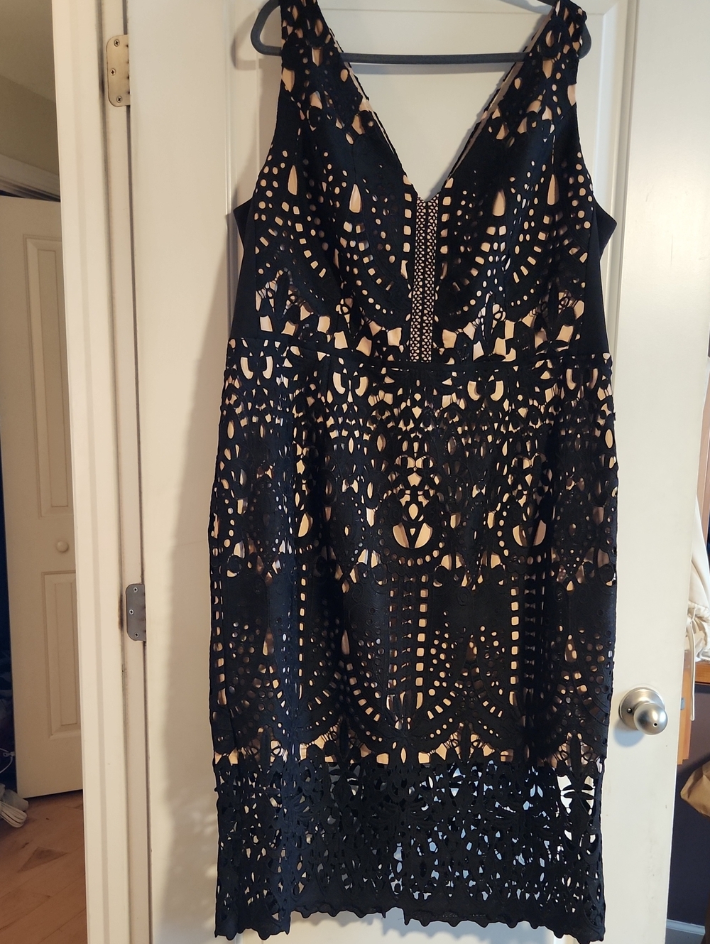 Black Lace Overlay Sleeveless Dress with Nude Lining